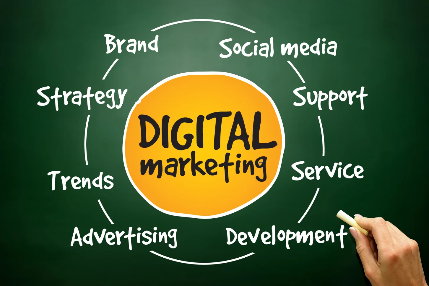 portfolio dino web hub